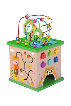 TOOKY TOY: ΚΥΒΟΣ ΠΟΛΛΑΠΛΩΝ ΔΡΑΣΤΗΡΙΟΤΗΤΩΝ ΔΑΣΟΣ