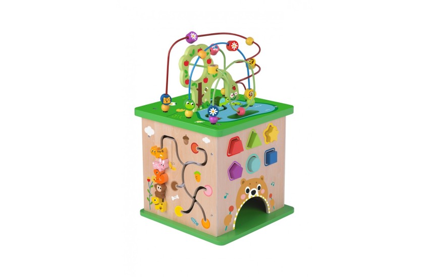 TOOKY TOY: ΚΥΒΟΣ ΠΟΛΛΑΠΛΩΝ ΔΡΑΣΤΗΡΙΟΤΗΤΩΝ ΔΑΣΟΣ