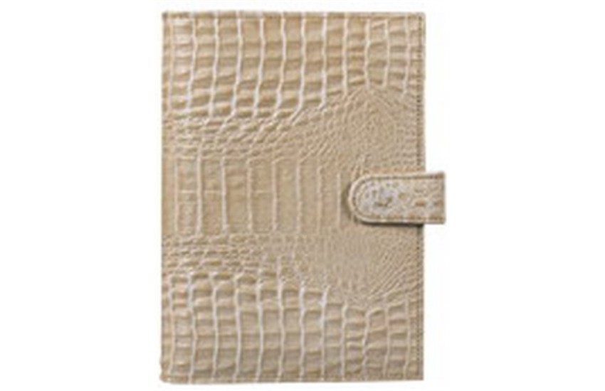 ORGANISER POCKET ΣΑΥΡΑ ΜΠΕΖ 9,5x13,5cm