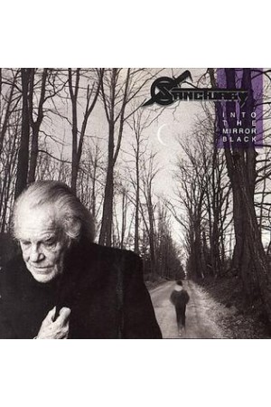 INTO THE MIRROR BLACK - 3LP