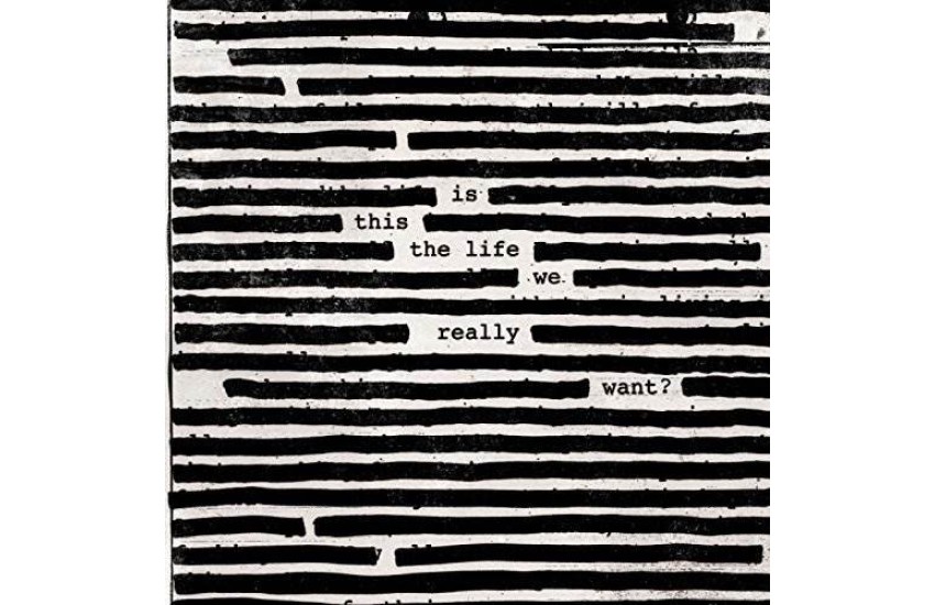 IS THIS THE LIFE WE REALLY WANT (VINYL)