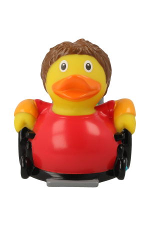 ΠΑΠΑΚΙ WHEELCHAIR