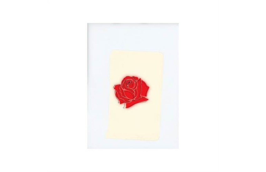 LANY