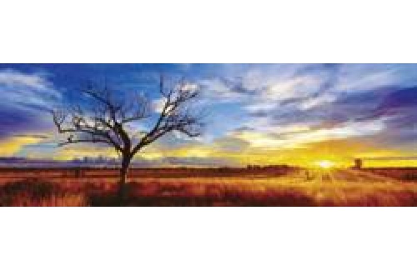 ΠΑΖΛ GRAY PANORAMA - DESERT OAK ΑΥΣΤΡΑΛΙΑ (1000 ΚΟΜΜΑΤΙΑ)