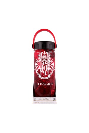 HARRY POTTER YOUNG ADULT DW STAINLESS STEEL HYDRO BOTTLE 530 ML