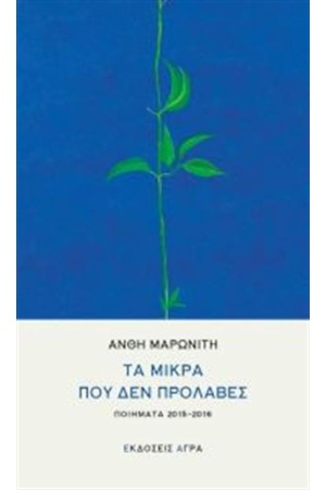 ΤΑ ΜΙΚΡΑ ΠΟΥ ΔΕΝ ΠΡΟΛΑΒΕΣ