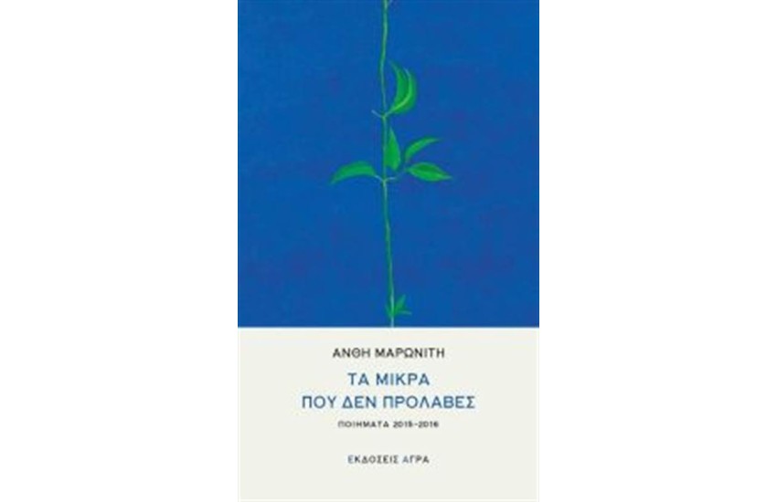 ΤΑ ΜΙΚΡΑ ΠΟΥ ΔΕΝ ΠΡΟΛΑΒΕΣ