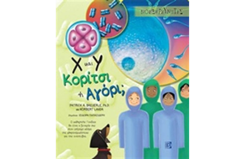 Χ ΚΑΙ Υ ΚΟΡΙΤΣΙ Ή ΑΓΟΡΙ;