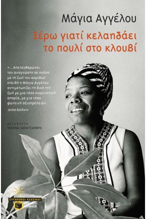 ΞΕΡΩ ΓΙΑΤΙ ΚΕΛΑΗΔΑΕΙ ΤΟ ΠΟΥΛΙ ΣΤΟ ΚΛΟΥΒΙ