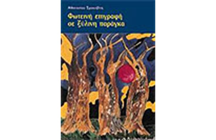 ΦΩΤΕΙΝΗ ΕΠΙΓΡΑΦΗ ΣΕ ΞΥΛΙΝΗ ΠΑΡΑΓΚΑ