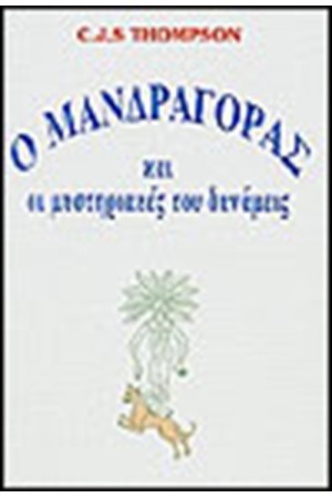 Ο ΜΥΣΤΗΡΙΑΚΟΣ ΜΑΝΔΡΑΓΟΡΑΣ