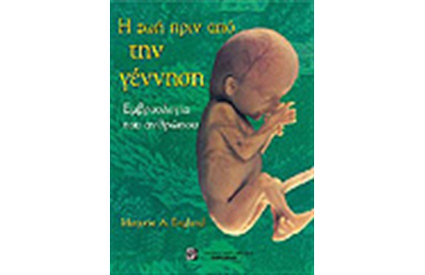 Η ΖΩΗ ΠΡΙΝ ΤΗ ΓΕΝΝΗΣΗ