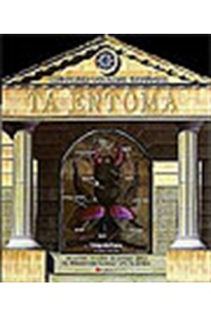 ΤΑ ΕΝΤΟΜΑ