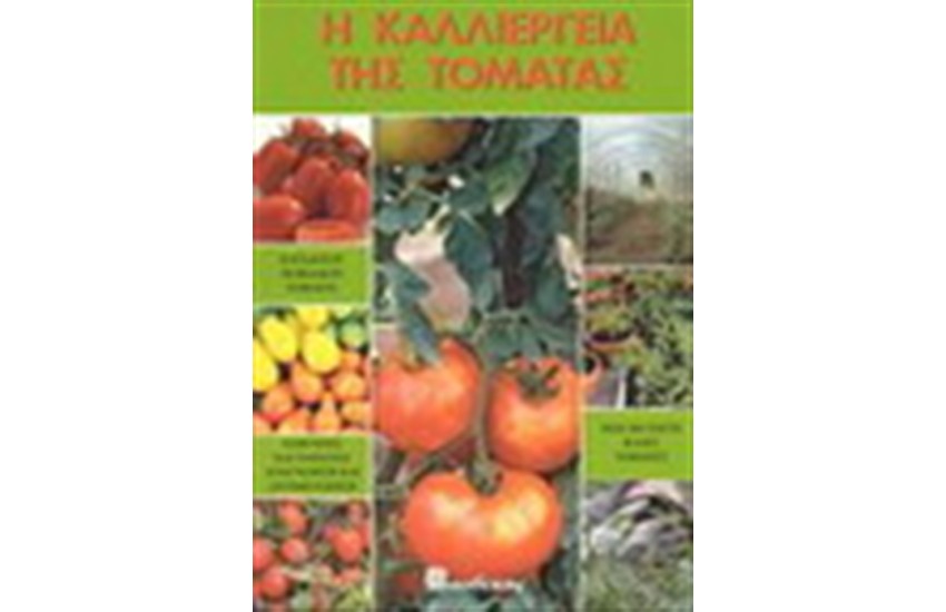 Η ΚΑΛΛΙΕΡΓΕΙΑ ΤΗΣ ΤΟΜΑΤΑΣ