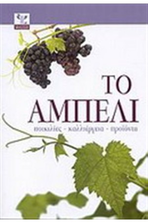 ΤΟ ΑΜΠΕΛΙ