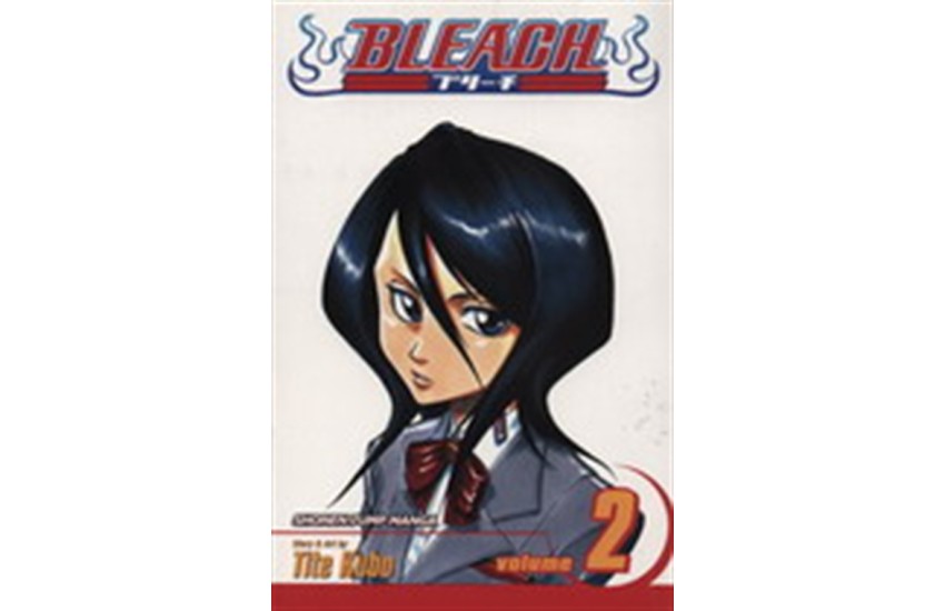 BLEACH VOLUME 2