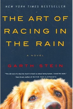 THE ART OF RACING IN THE RAIN (PAPERBACK)
