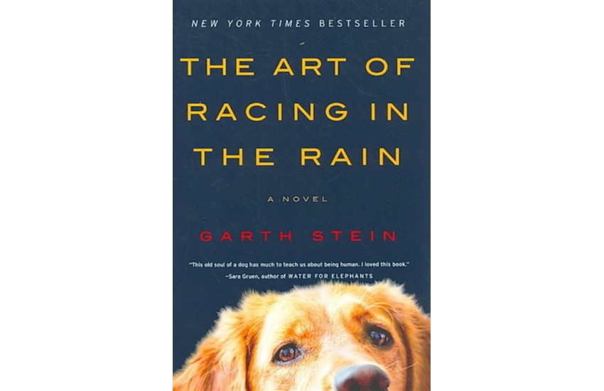 THE ART OF RACING IN THE RAIN (PAPERBACK)