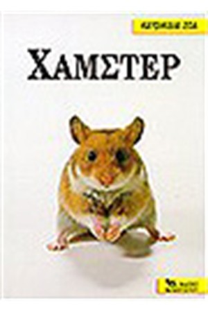 Κ.Ζ. ΧΑΜΣΤΕΡ