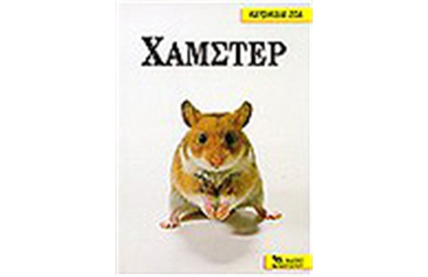 Κ.Ζ. ΧΑΜΣΤΕΡ