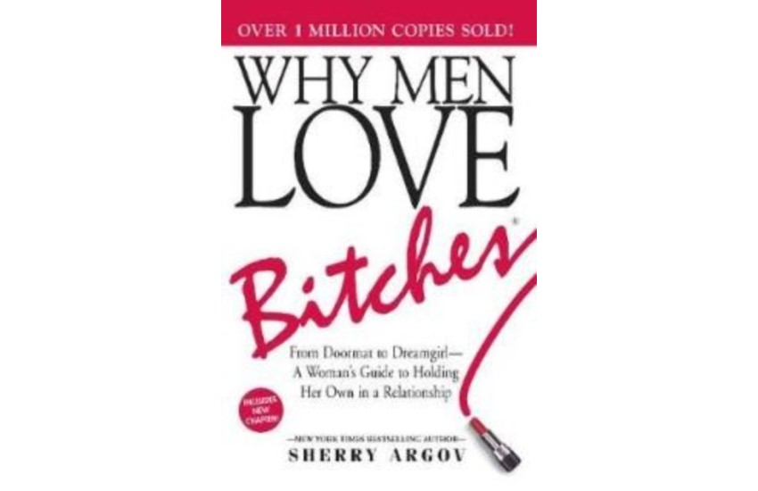 WHY MEN LOVE BITCHES 6TH ED PB