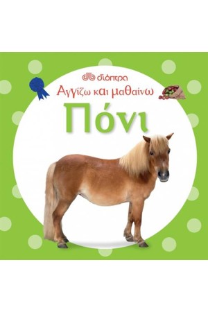 ΑΓΓΙΖΩ ΚΑΙ ΜΑΘΑΙΝΩ: ΠΟΝΙ