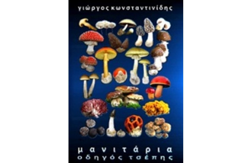ΜΑΝΙΤΑΡΙΑ (ΟΔΗΓΟΣ ΤΣΕΠΗΣ)