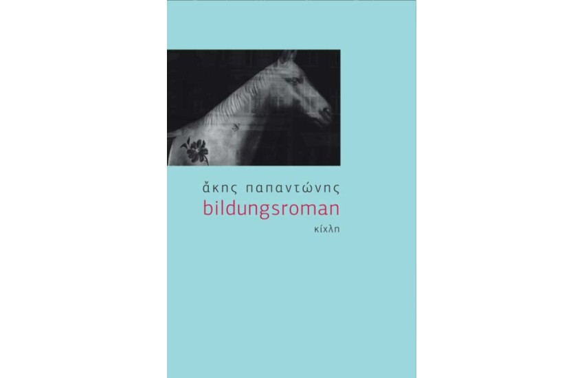 BILDUNGSROMAN