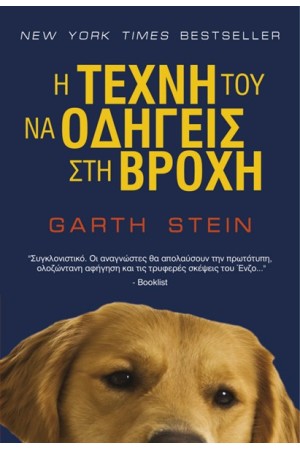 Η ΤΕΧΝΗ ΤΟΥ ΝΑ ΟΔΗΓΕΙΣ ΣΤΗ ΒΡΟΧΗ