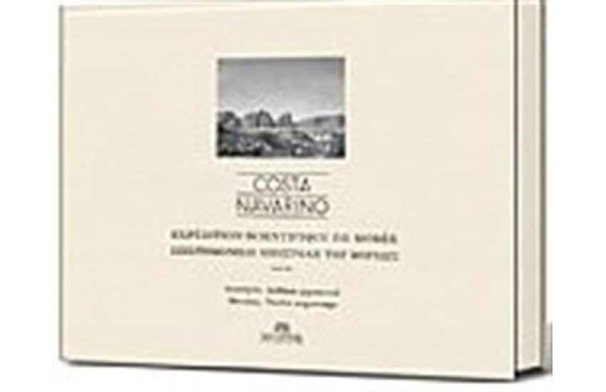 COSTA NAVARINO