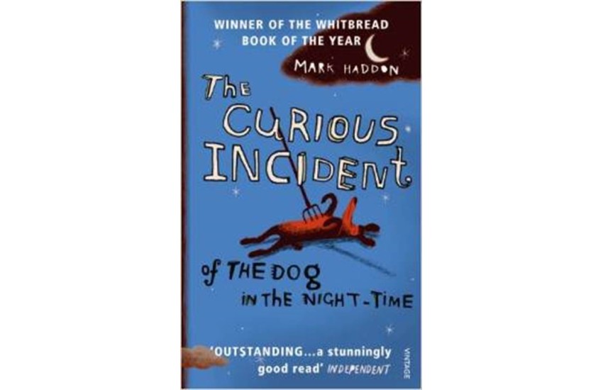 THE CURIOUS INCIDENT OF THE DOG IN THE NIGHT TIME PB B FORMAT