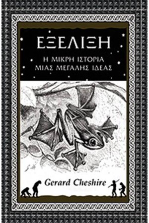 ΕΞΕΛΙΞΗ