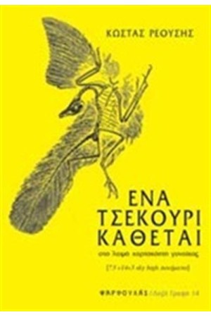 ΕΝΑ ΤΣΕΚΟΥΡΙ ΚΑΘΕΤΑΙ
