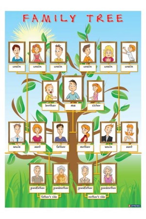 FAMILY TREE (ΑΦΙΣΑ)