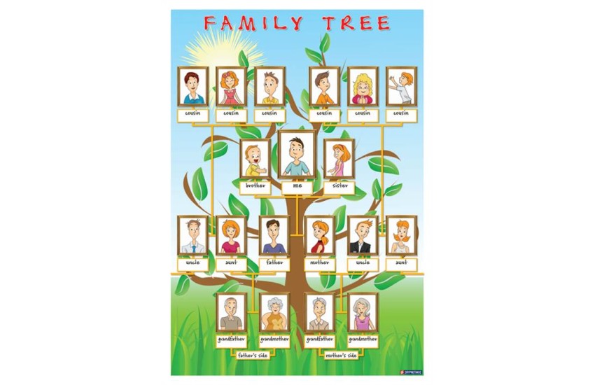 FAMILY TREE (ΑΦΙΣΑ)