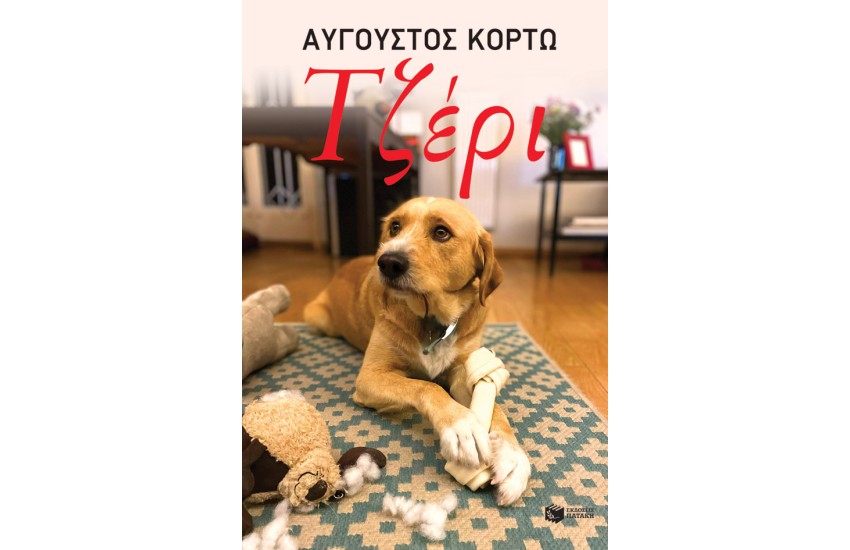 ΤΖΕΡΙ