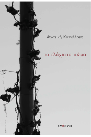 ΤΟ ΕΛΑΧΙΣΤΟ ΣΩΜΑ