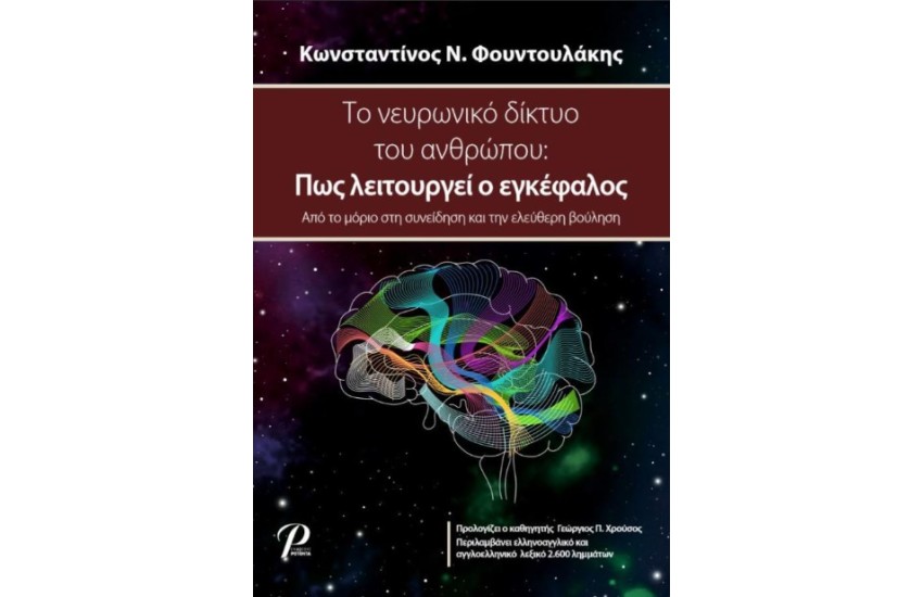ΤΟ ΝΕΥΡΩΝΙΚΟ ΔΙΚΤΥΟ ΤΟΥ ΑΝΘΡΩΠΟΥ: ΠΩΣ ΛΕΙΤΟΥΡΓΕΙ Ο ΕΓΚΕΦΑΛΟΣ