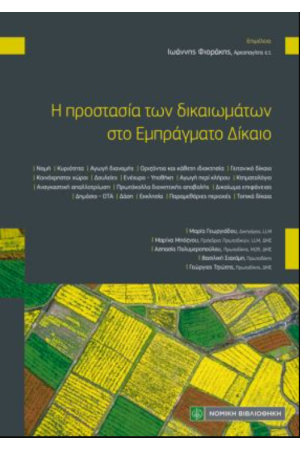 Η ΠΡΟΣΤΑΣΙΑ ΤΩΝ ΔΙΚΑΙΩΜΑΤΩΝ ΣΤΟ ΕΜΠΡΑΓΜΑΤΟ ΔΙΚΑΙΟ