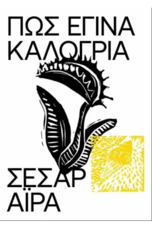 ΠΩΣ ΕΓΙΝΑ ΚΑΛΟΓΡΙΑ