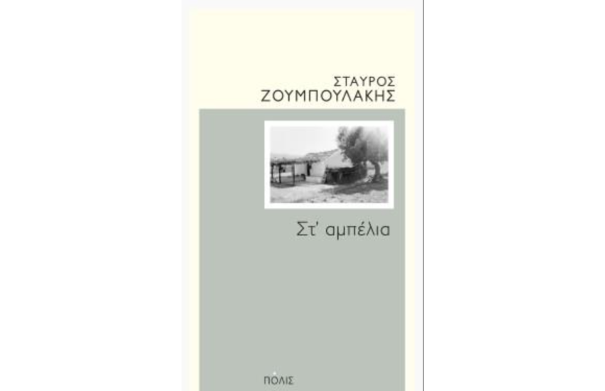 ΣΤ' ΑΜΠΕΛΙΑ