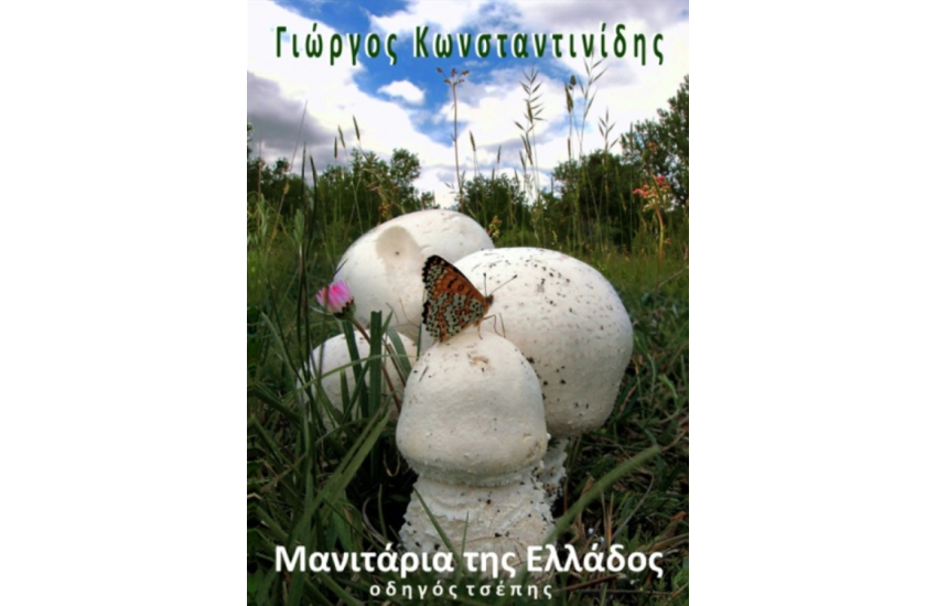 ΜΑΝΙΤΑΡΙΑ ΤΗΣ ΕΛΛΑΔΟΣ