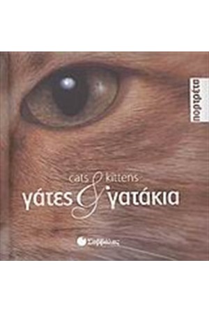 ΓΑΤΕΣ ΚΑΙ ΓΑΤΑΚΙΑ