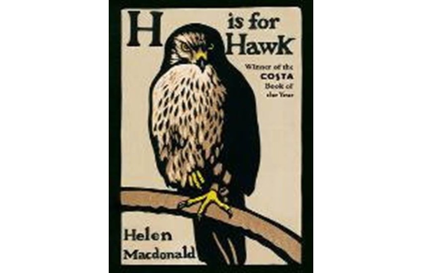 H IS FOR HAWK PB B FORMAT