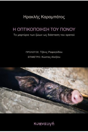 Η ΟΠΤΙΚΟΠΟΙΗΣΗ ΤΟΥ ΠΟΝΟΥ