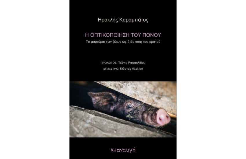 Η ΟΠΤΙΚΟΠΟΙΗΣΗ ΤΟΥ ΠΟΝΟΥ