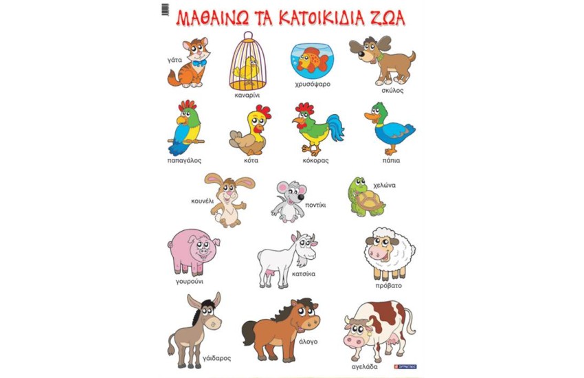 ΜΑΘΑΙΝΩ ΤΑ ΚΑΤΟΙΚΙΔΙΑ ΖΩΑ (ΑΦΙΣΑ)