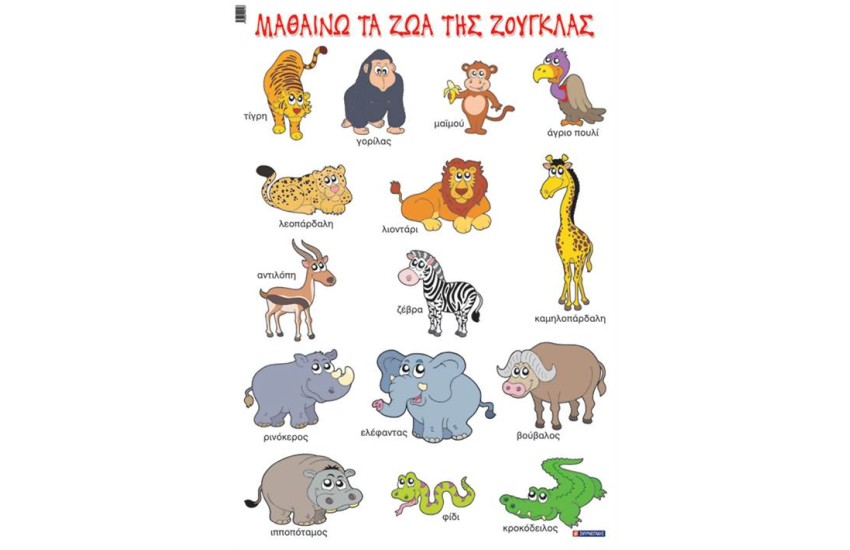 ΜΑΘΑΙΝΩ ΤΑ ΖΩΑ ΤΗΣ ΖΟΥΓΚΛΑΣ (ΑΦΙΣΑ)
