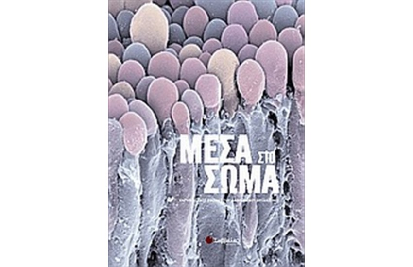 ΜΕΣΑ ΣΤΟ ΣΩΜΑ