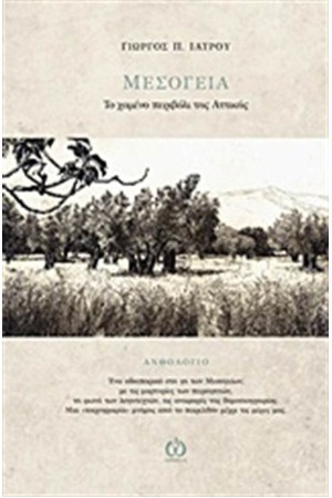 ΜΕΣΟΓΕΙΑ, ΤΟ ΧΑΜΕΝΟ ΠΕΡΙΒΟΛΙ ΤΗΣ ΑΤΤΙΚΗΣ